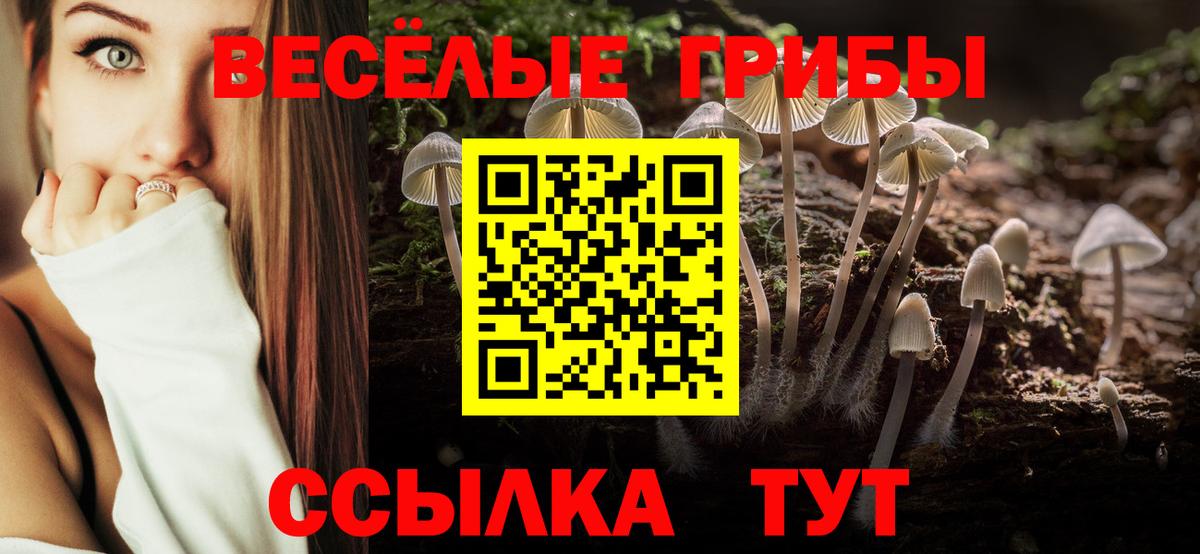Аша  Галлюциногенные грибы мухоморы  закладка  Вход с VPN 